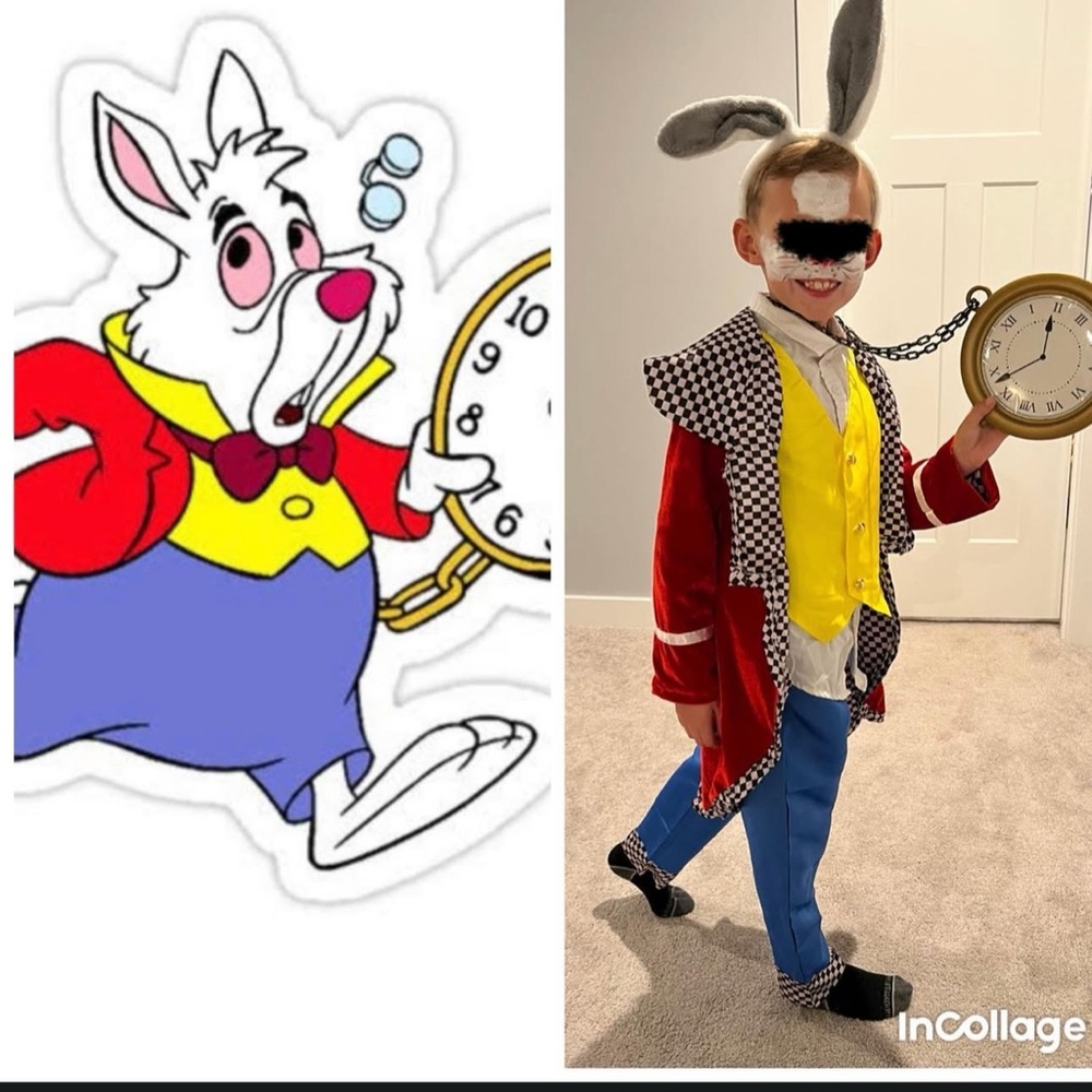 White Rabbit Kids Costume